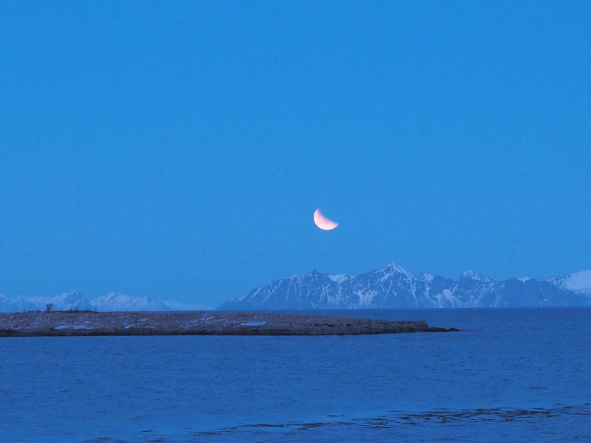 Lofoten Ocean View - Sandoy Gard Sand  Exteriér fotografie