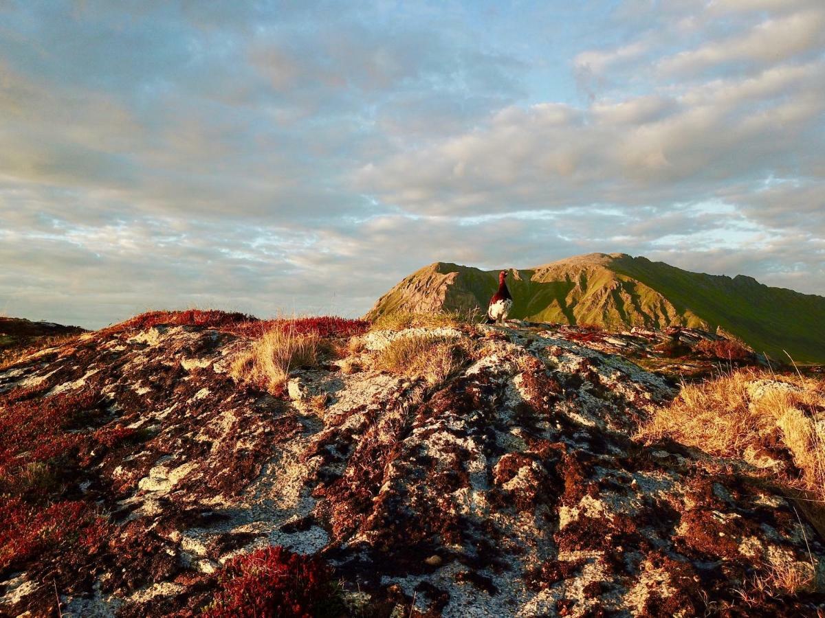 Lofoten Ocean View - Sandoy Gard Sand  Exteriér fotografie